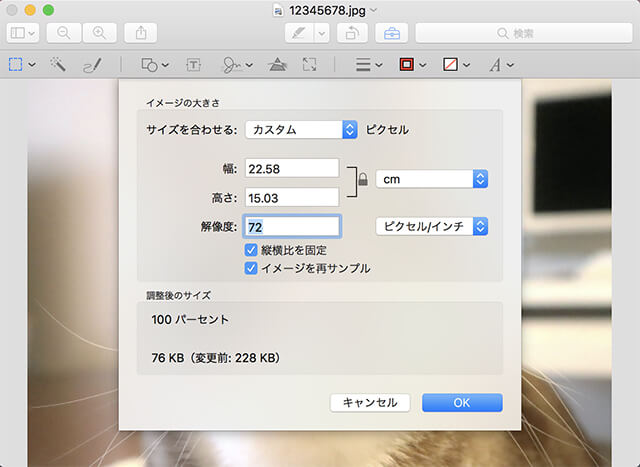 Macのプレビューを使って解像度を調べる方法カスタム